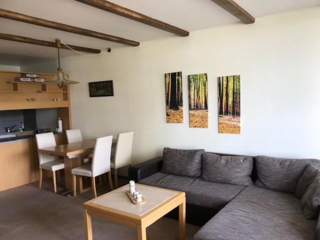 Panoramic Apartments Hohegeiß 外观 照片