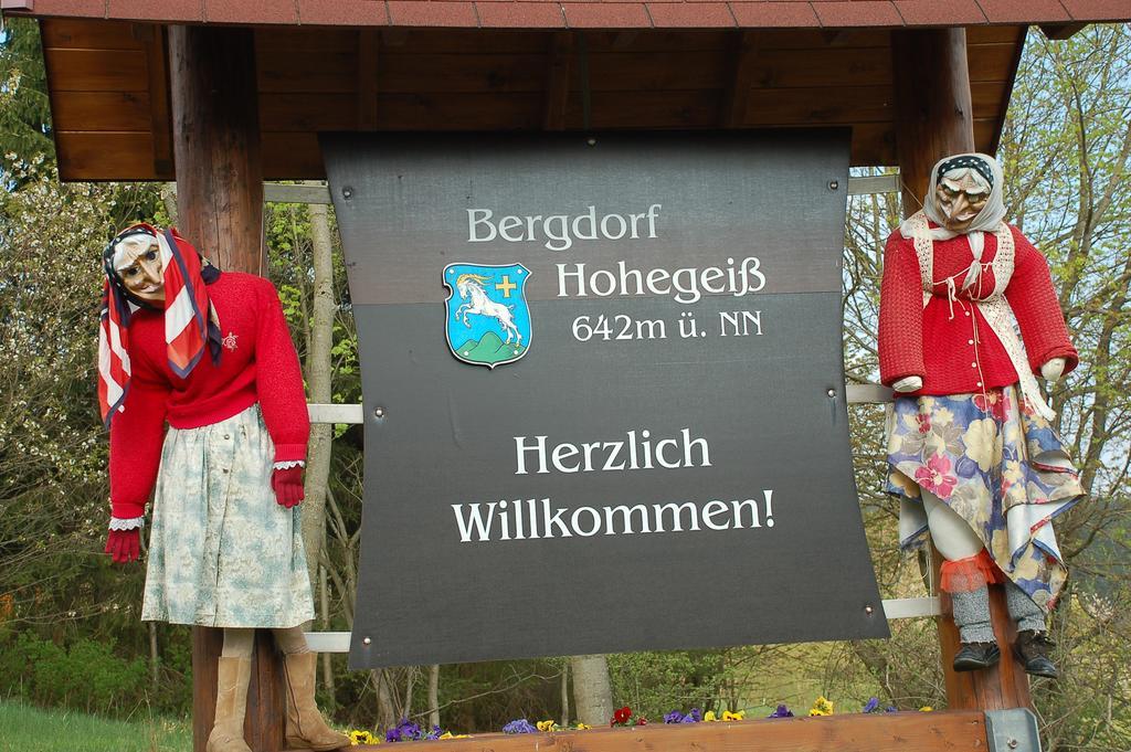 Panoramic Apartments Hohegeiß 外观 照片
