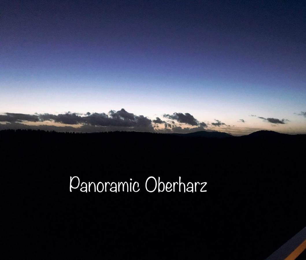 Panoramic Apartments Hohegeiß 外观 照片